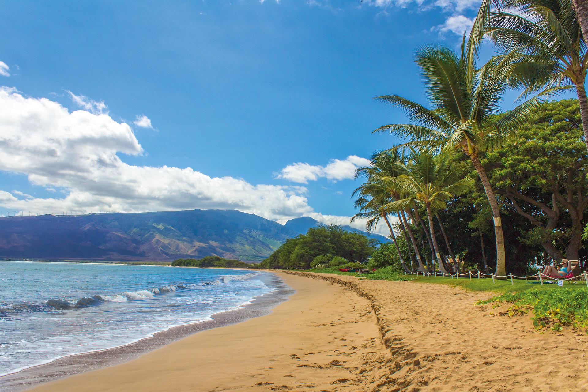 Maui Beach Landscape