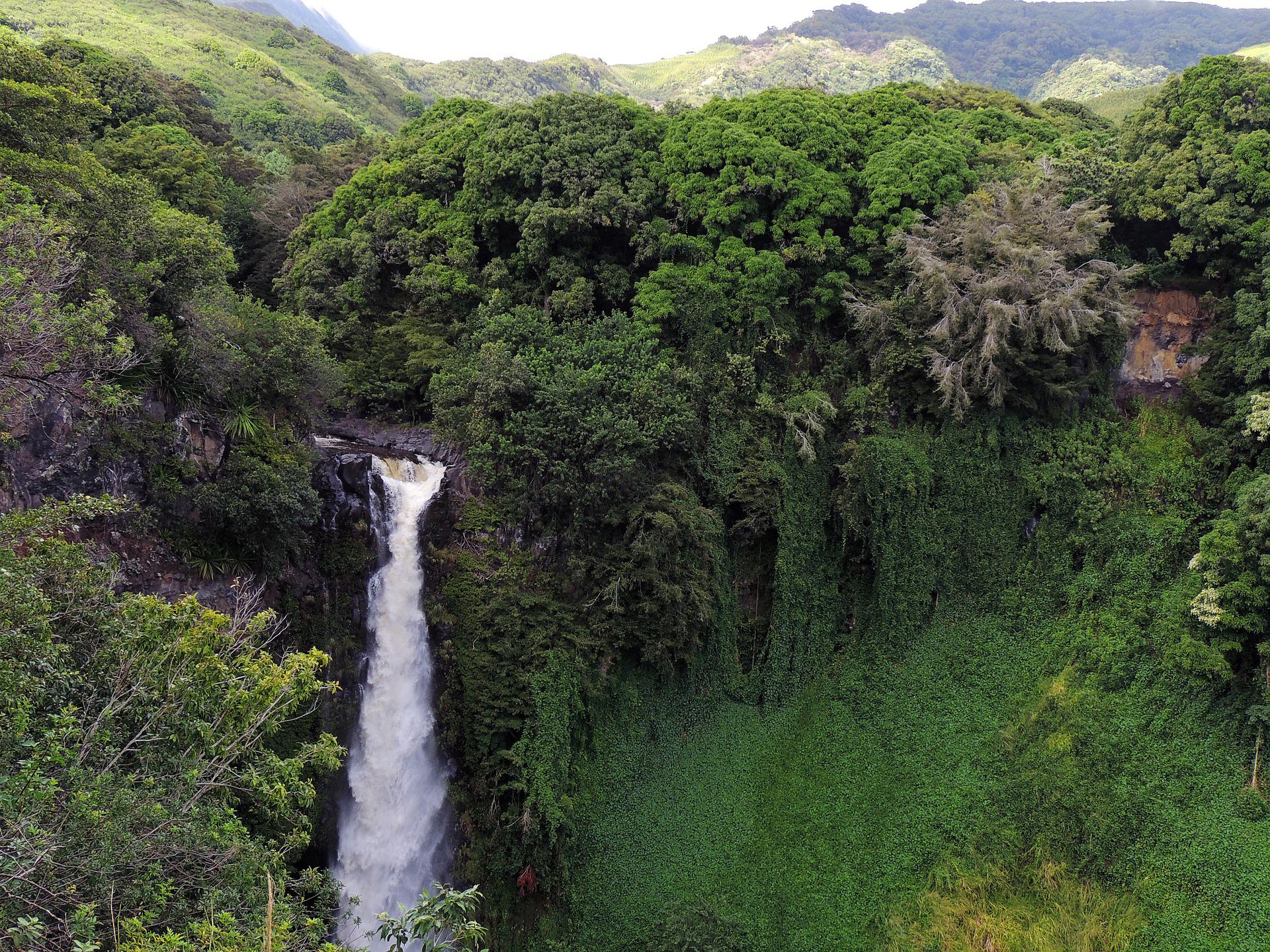 Tropical Waterfall